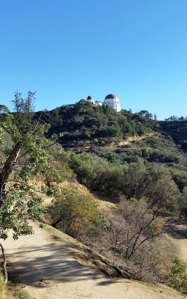 Beginning of the hike - Griffith Observatory ahead on the top of hill