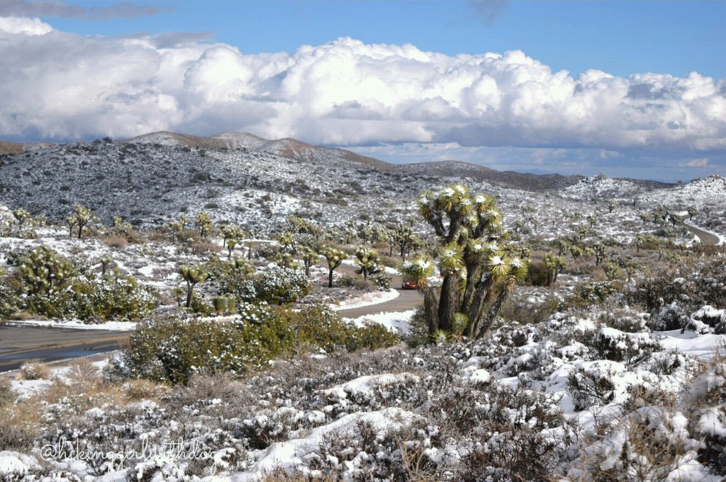 keys_view_2