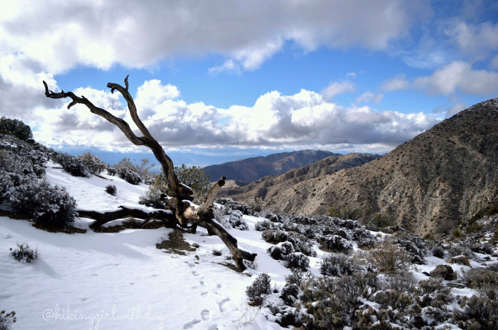 keys_view_1