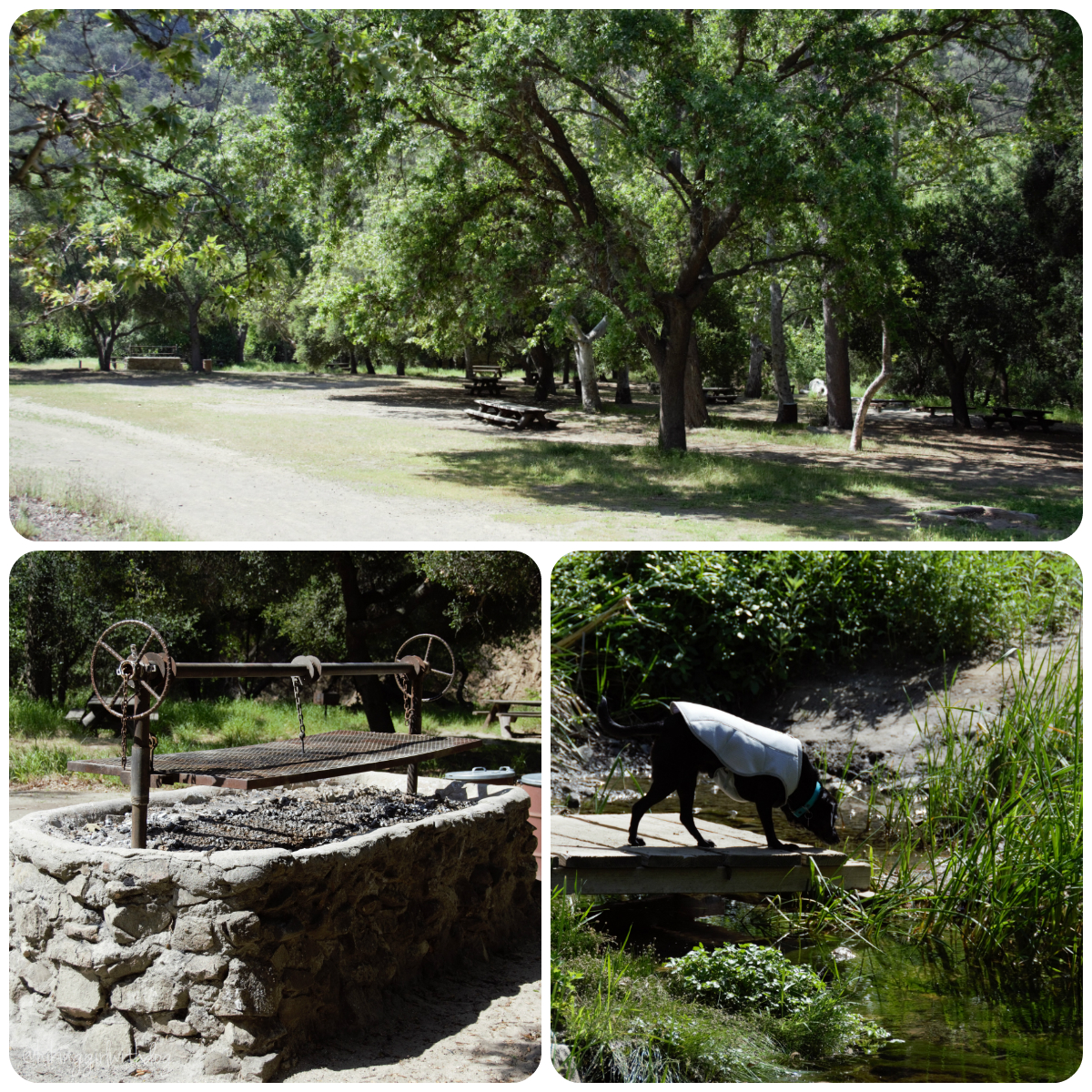 paradise_falls_picnic_area