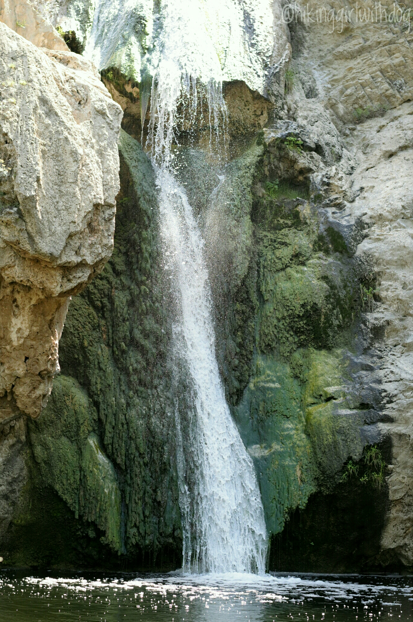 paradise_falls_7