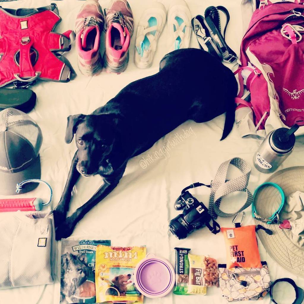 13249870_1145323312207755_194931885_n(1)