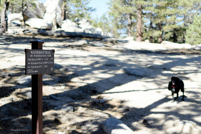 mt_waterman_13