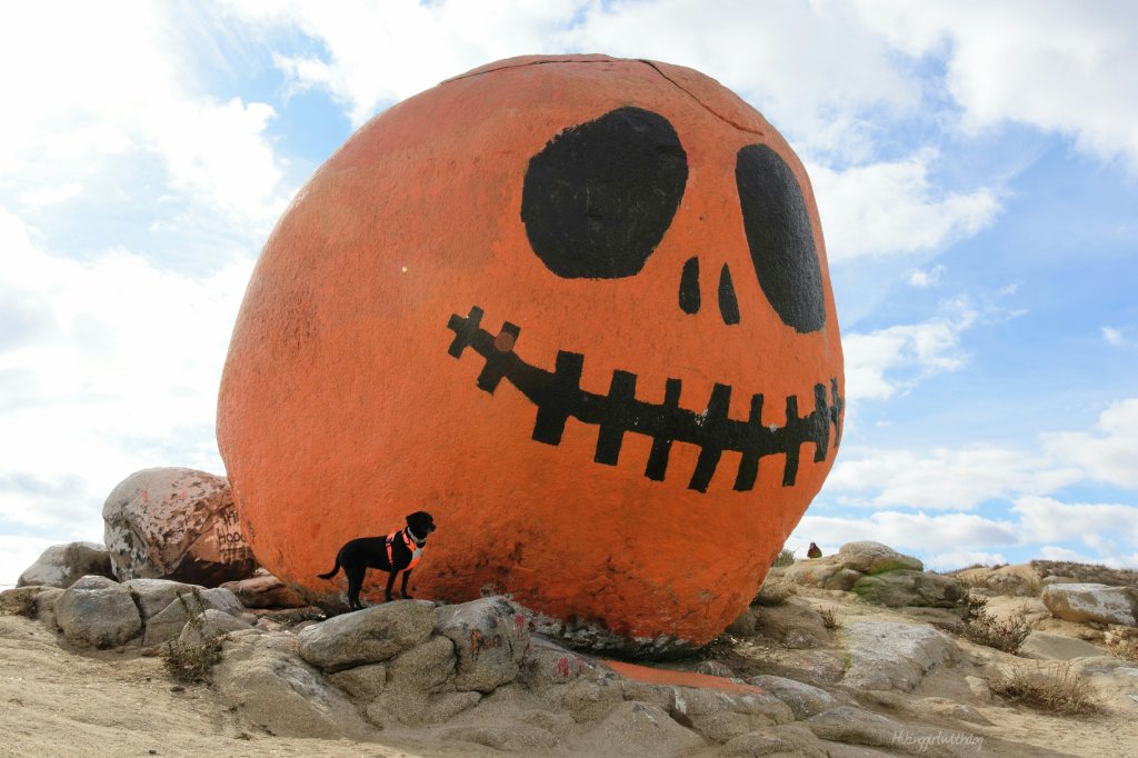 pumpkin_rock