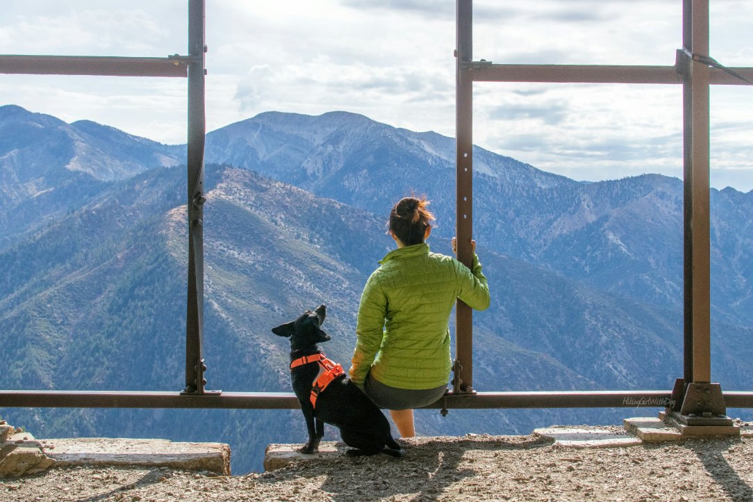 Best dog-friendly hikes in Southern California