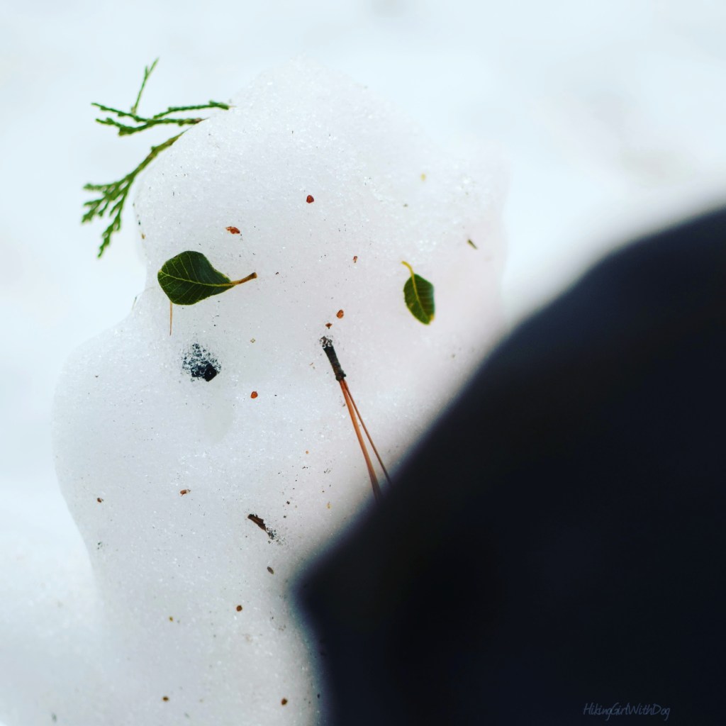 snow_hike_2