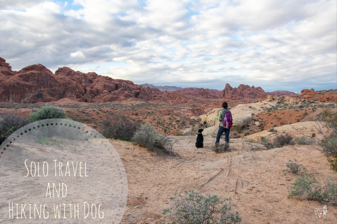 Hiking with Dog