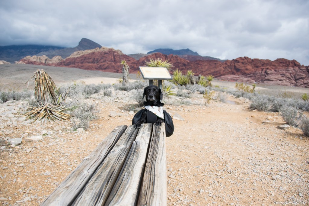 nv_red_rock_canyon-1