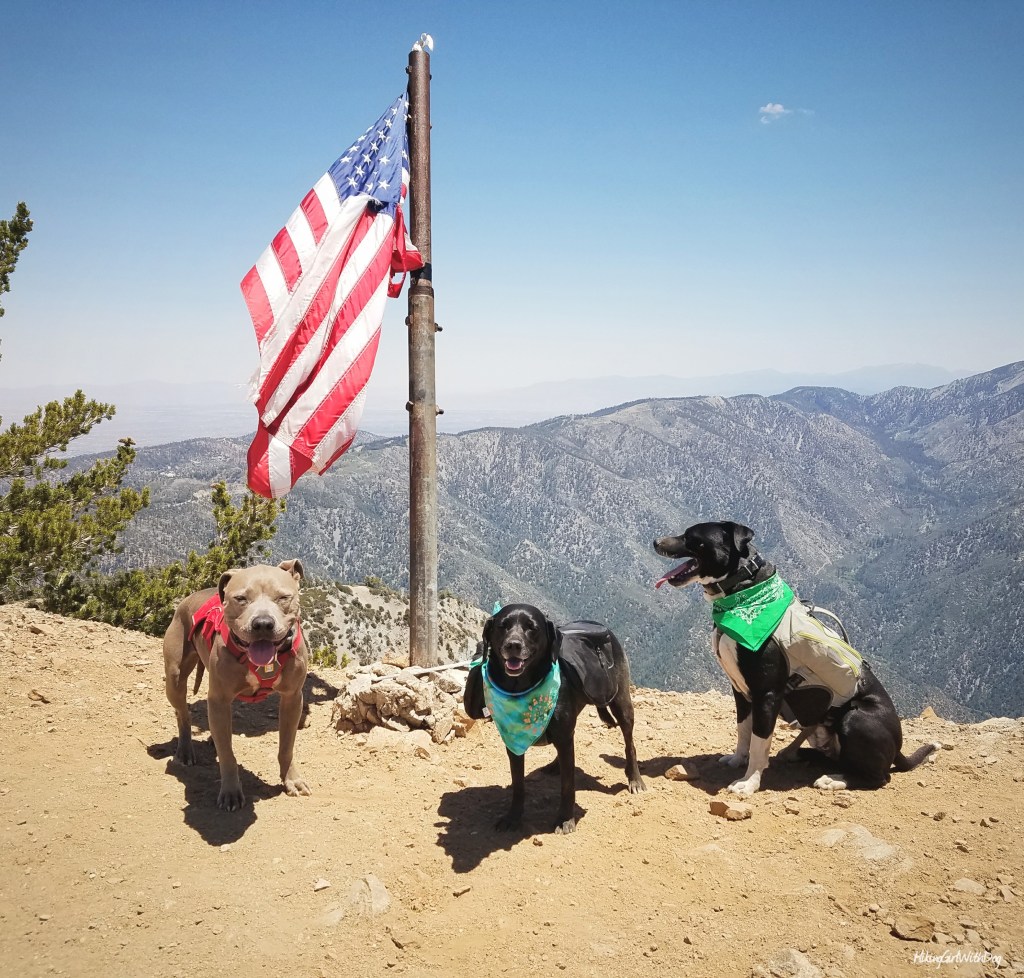 20170529_154924_1045243905