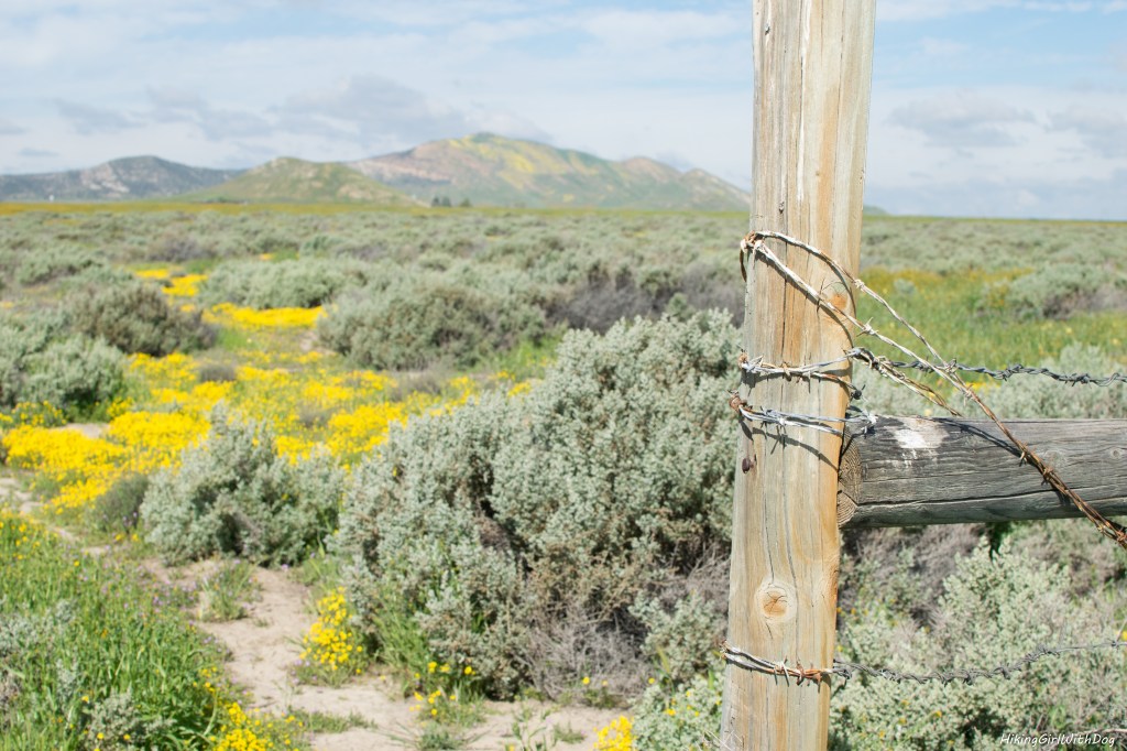 carrizo_plain-5