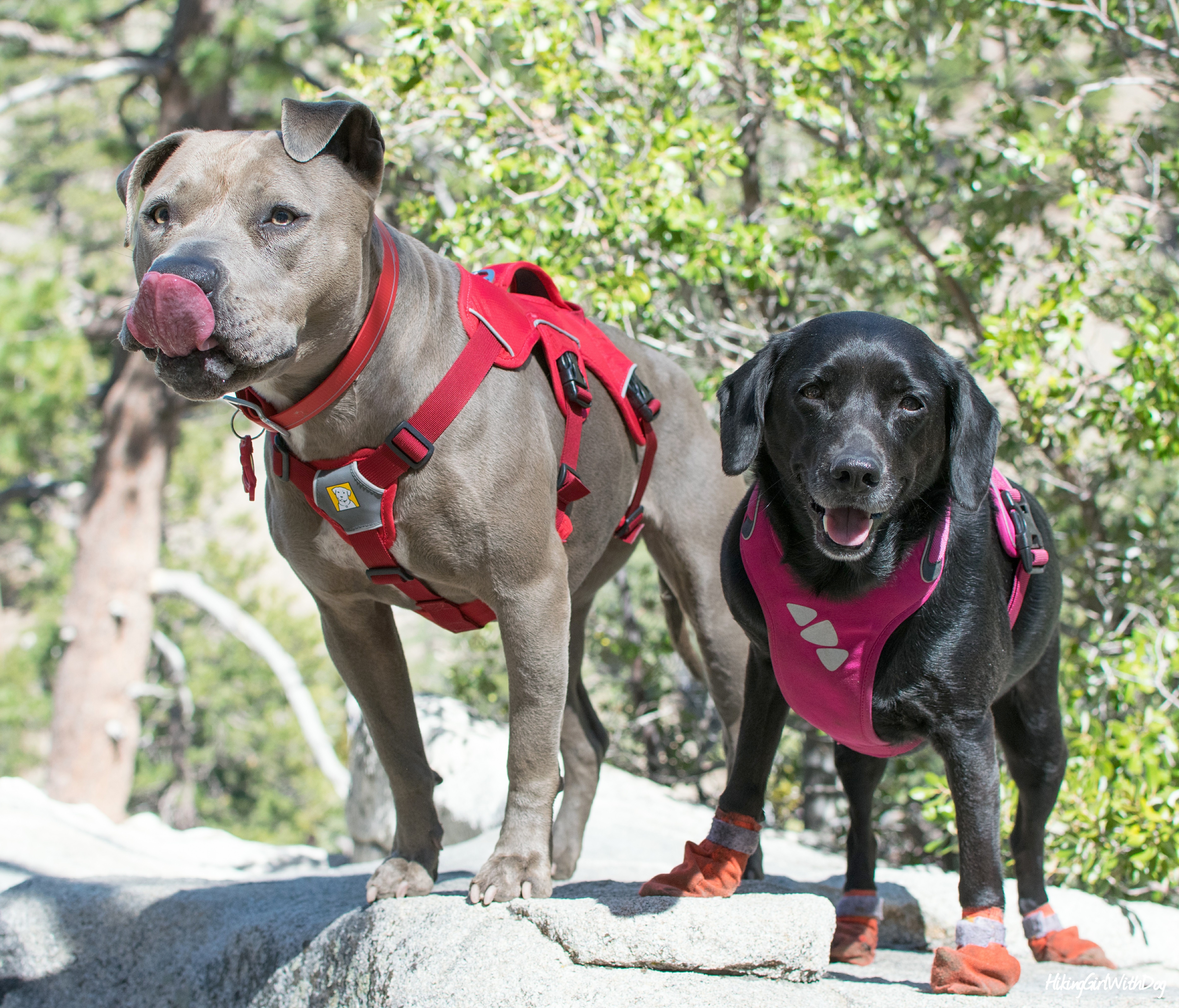 IMG_20170404_082146_934