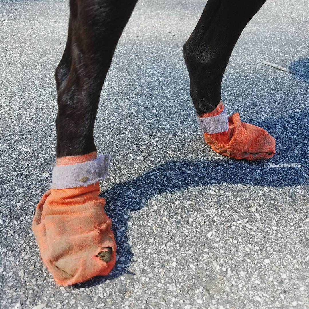 IMG_20170405_140805_188