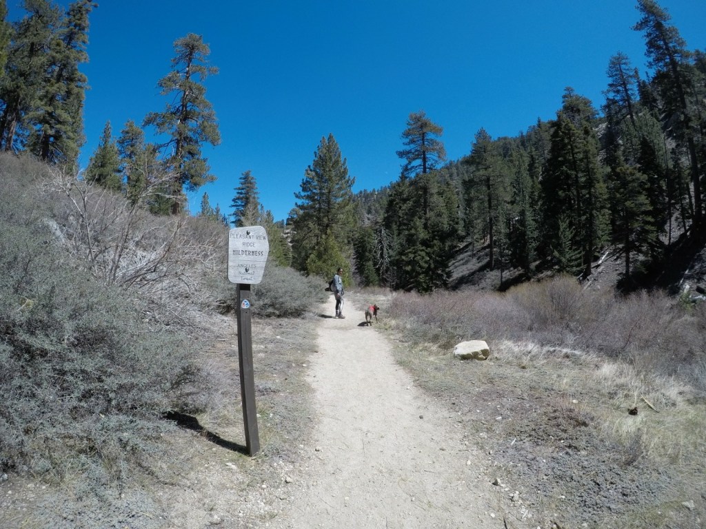 Cooper Canyon Falls Hike