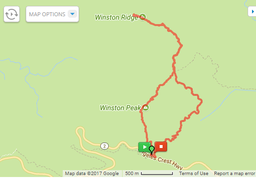 winston_ridge_winston_peak_route