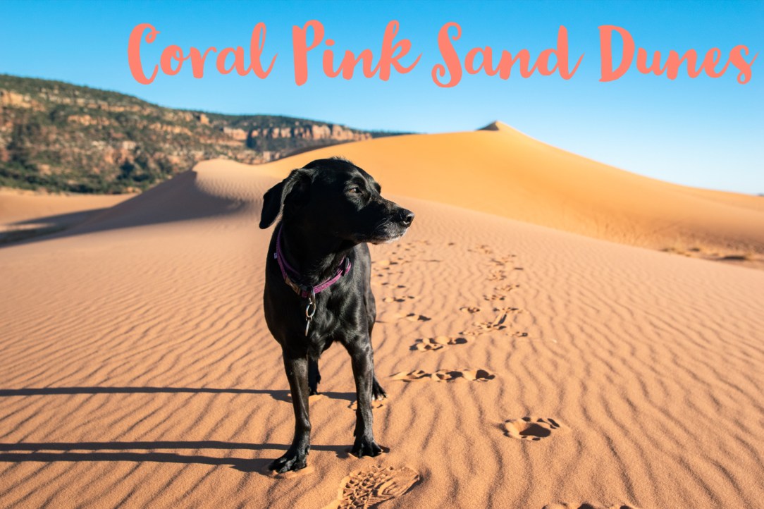 Coral Pink Sand Dunes