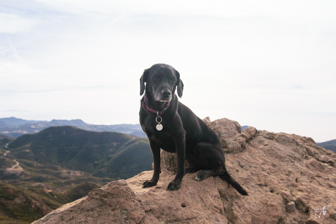 sandstone_peak-13.jpg