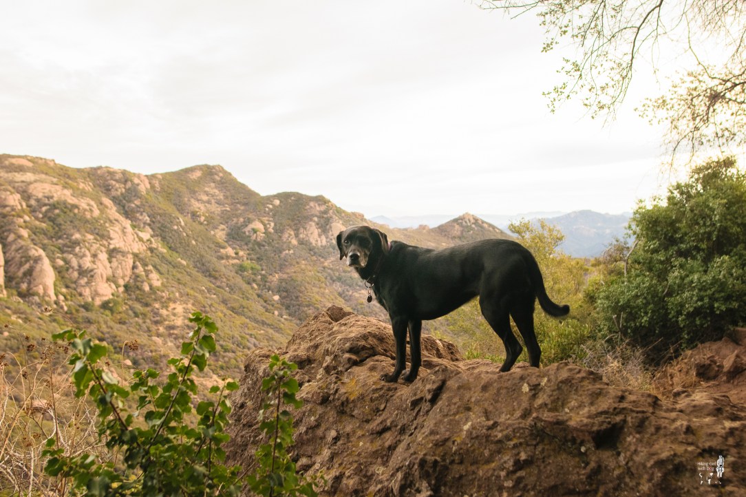 sandstone_peak-2.jpg