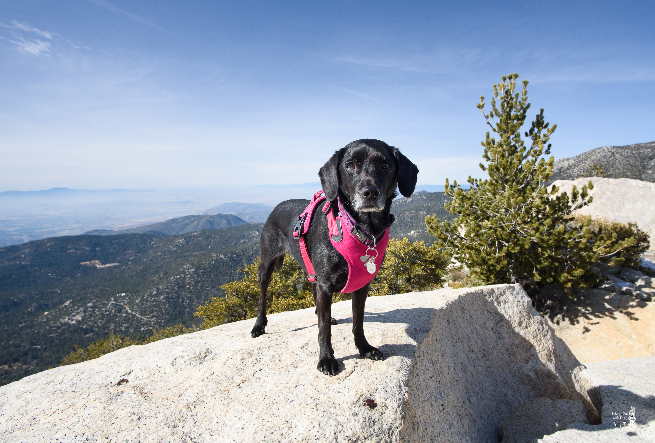 tahquitz_peak-24.jpg