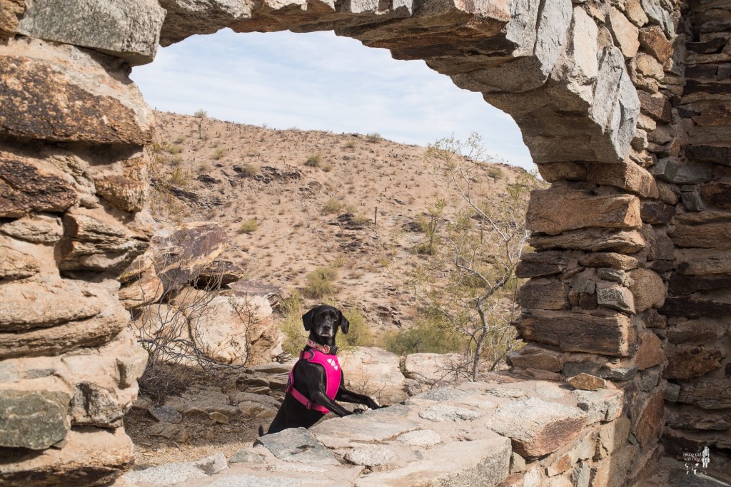 Hidden Valley via Mormon Loop