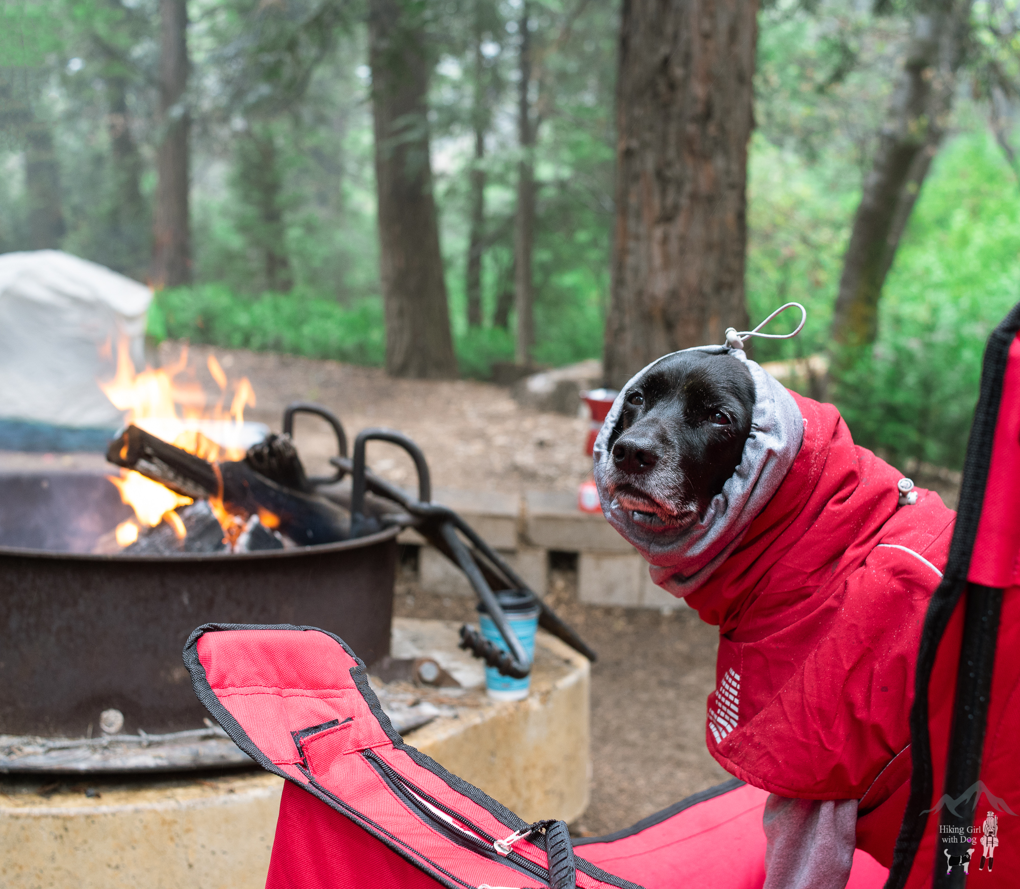 dogwood_camping-1