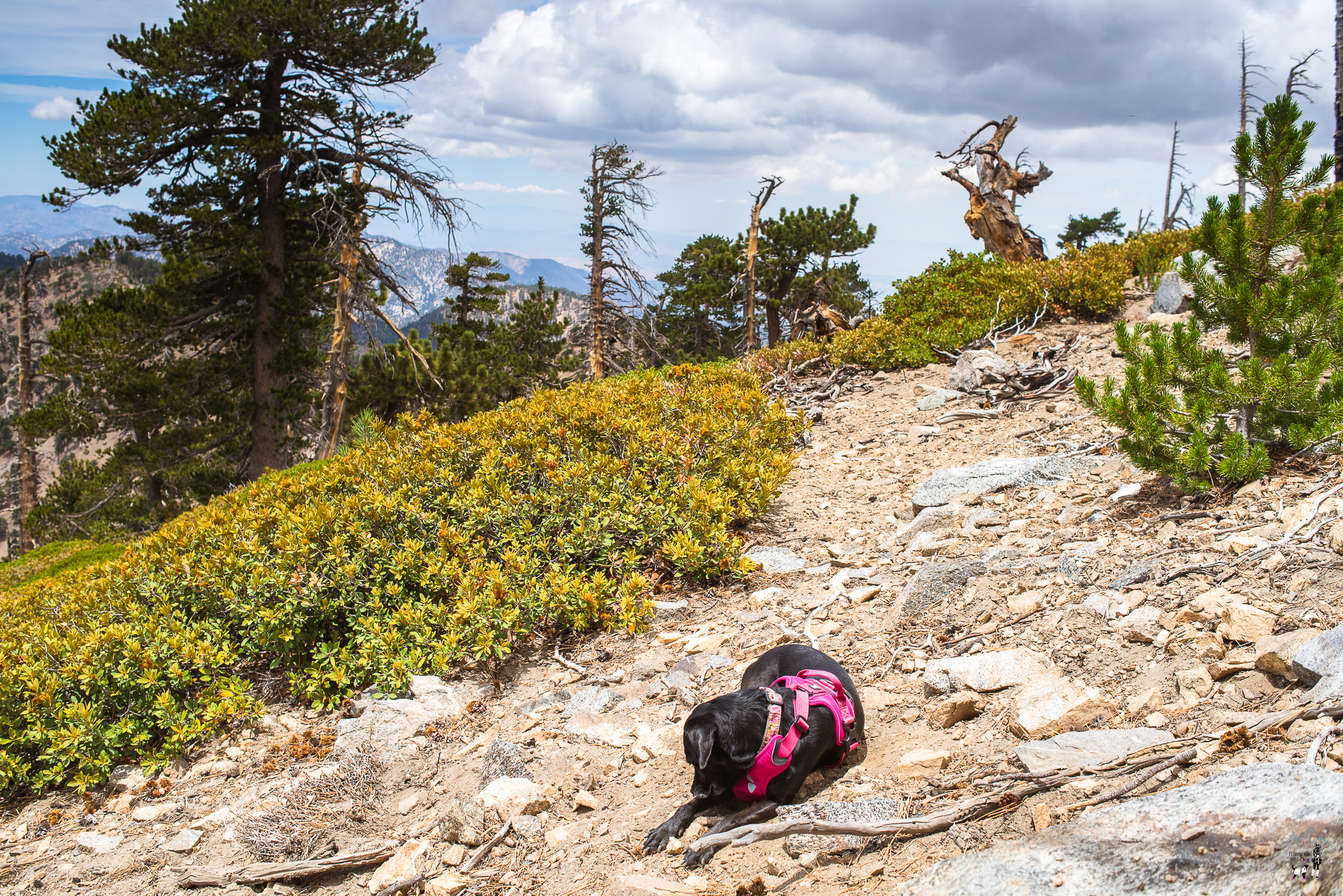 mt_baden_powell-18