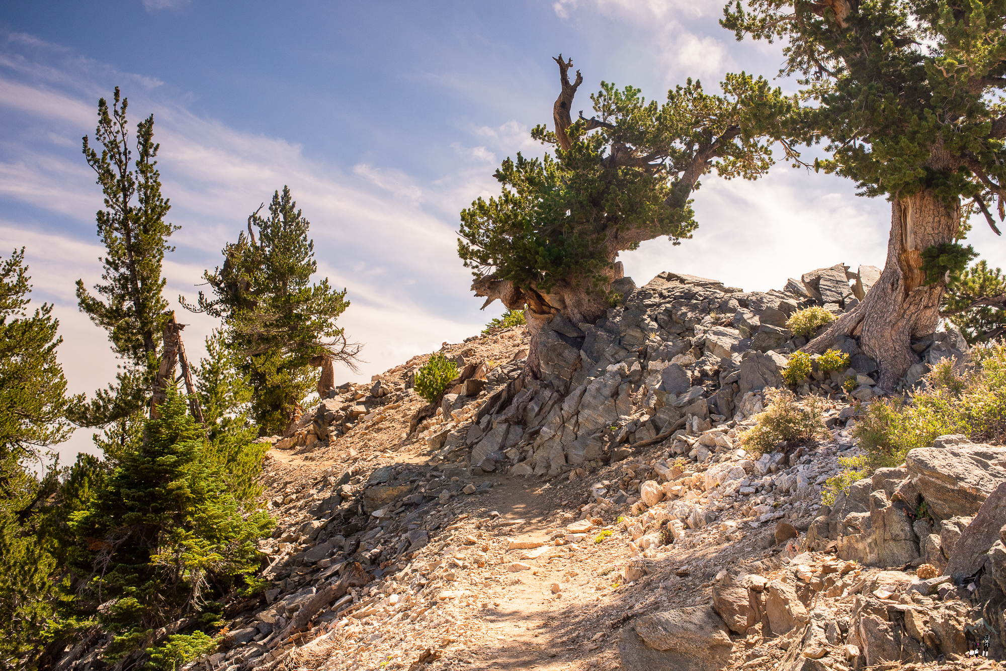 mt_baden_powell-4