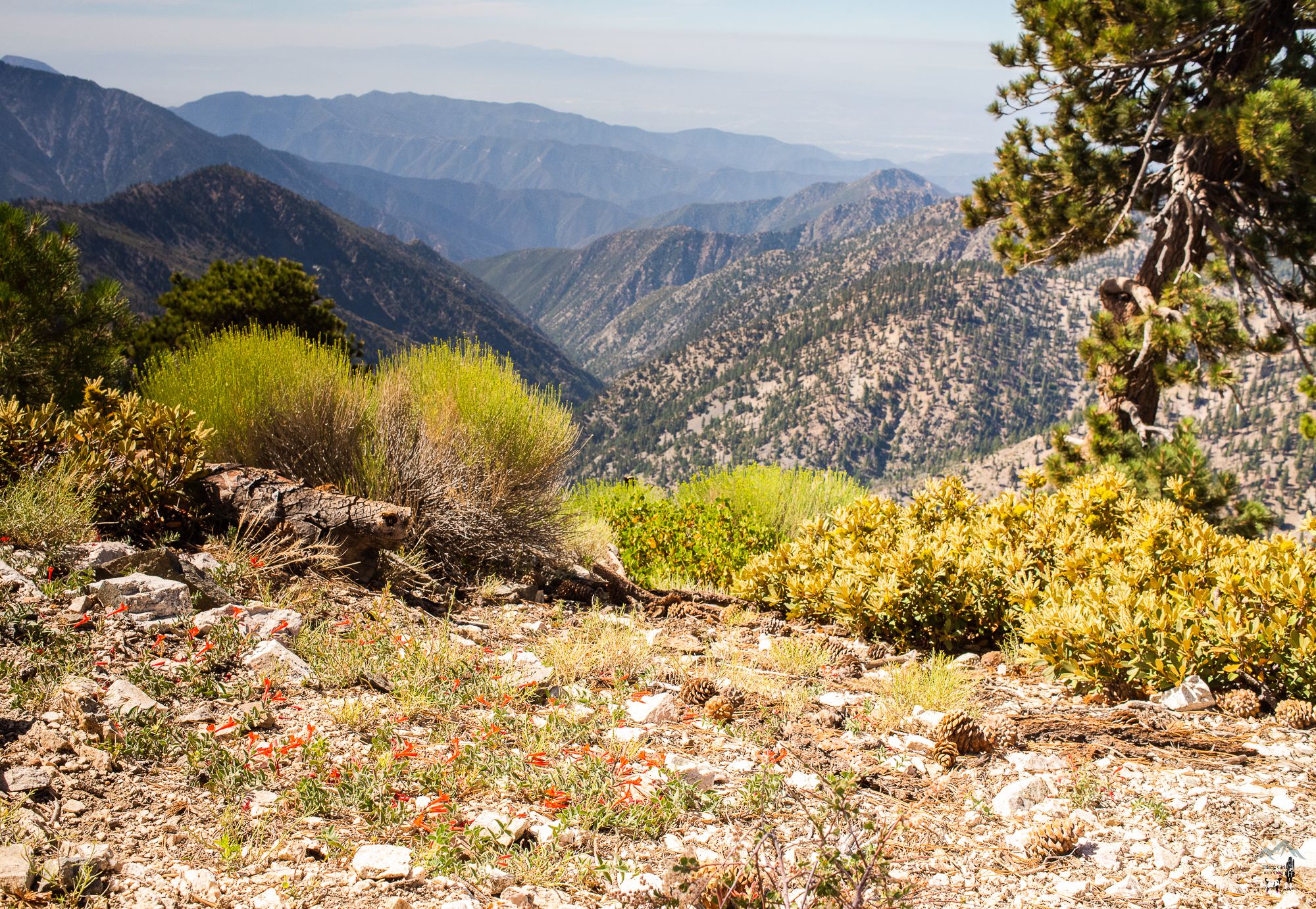 mt_baden_powell-5