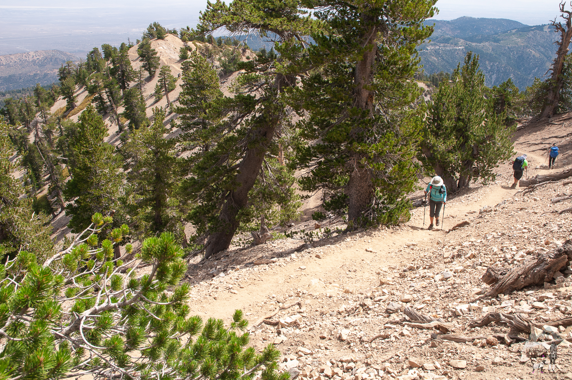 mt_baden_powell-58