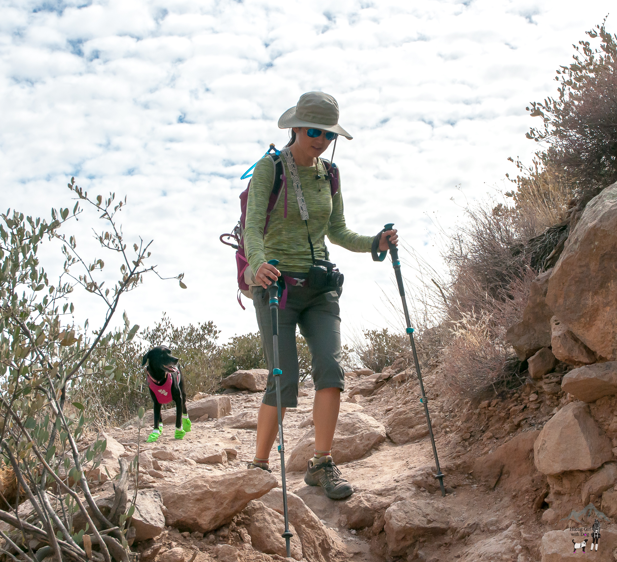 benefits of trekking poles