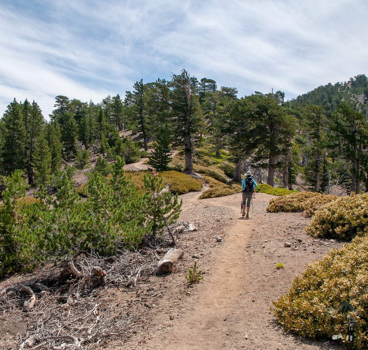 mt_baden_powell-56.JPG