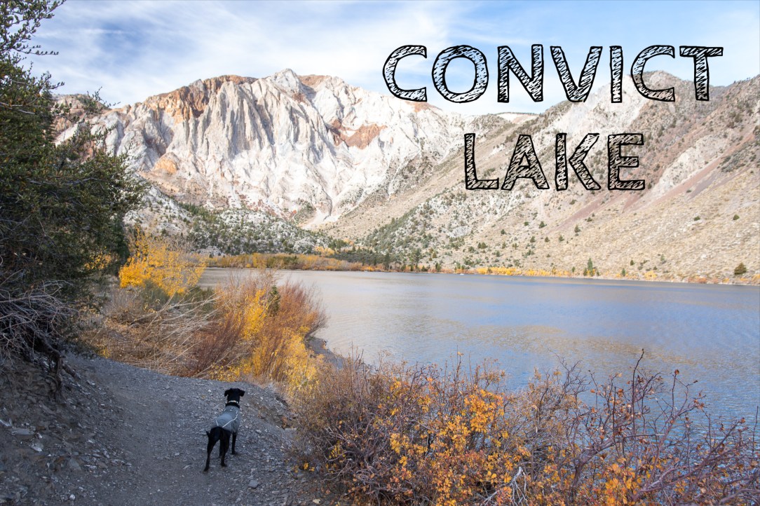Convict Lake