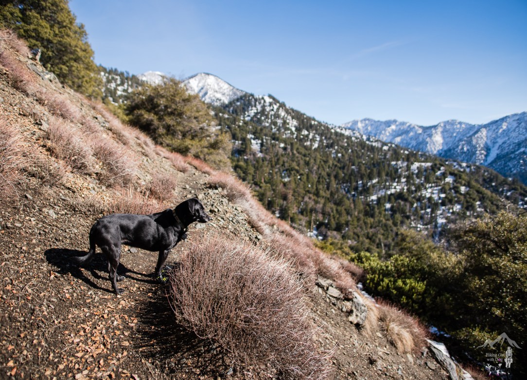 momyer_creek_trail-12