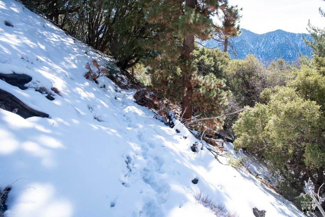 momyer_creek_trail-29