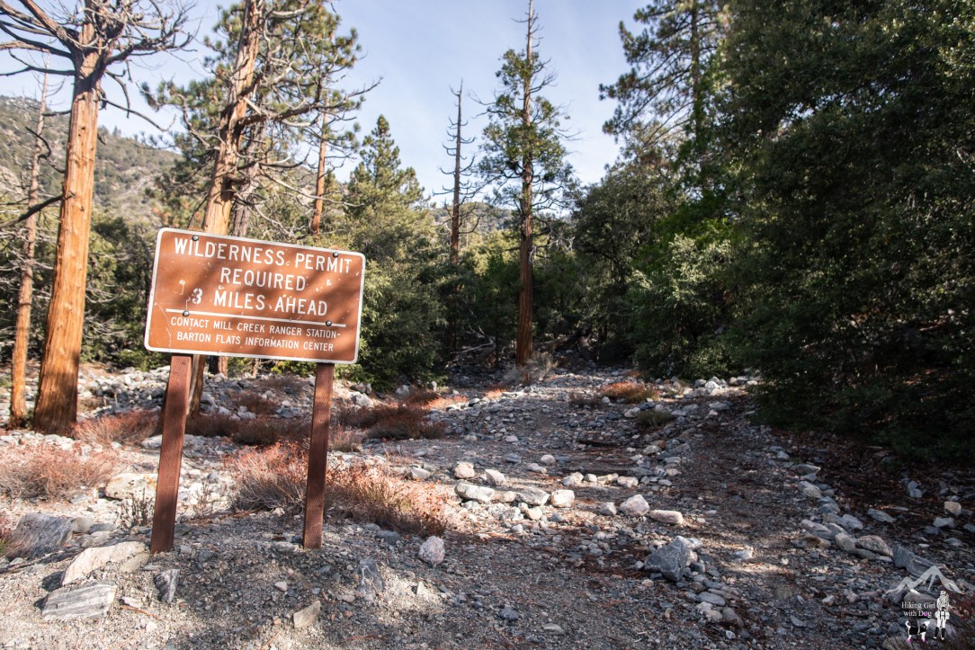 momyer_creek_trail-32