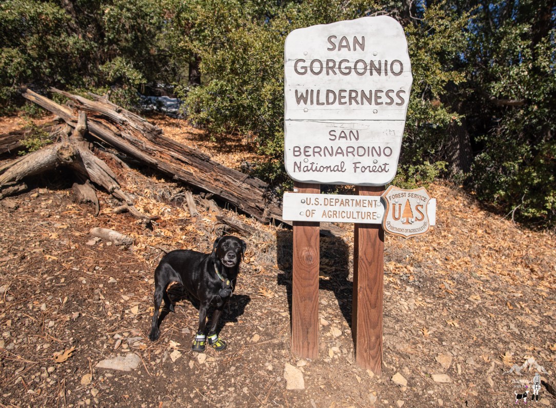 momyer_creek_trail-37