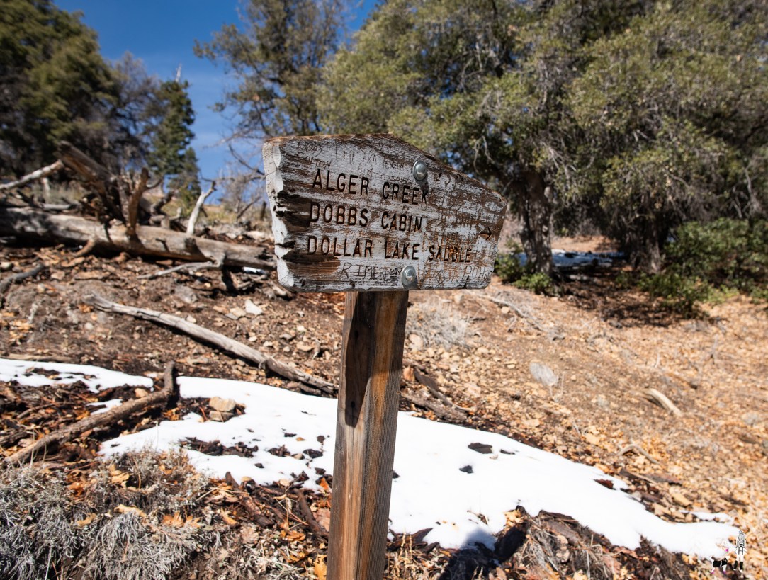 momyer_creek_trail-39