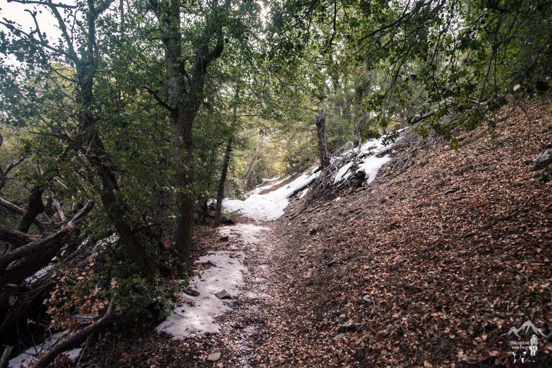 momyer_creek_trail-40