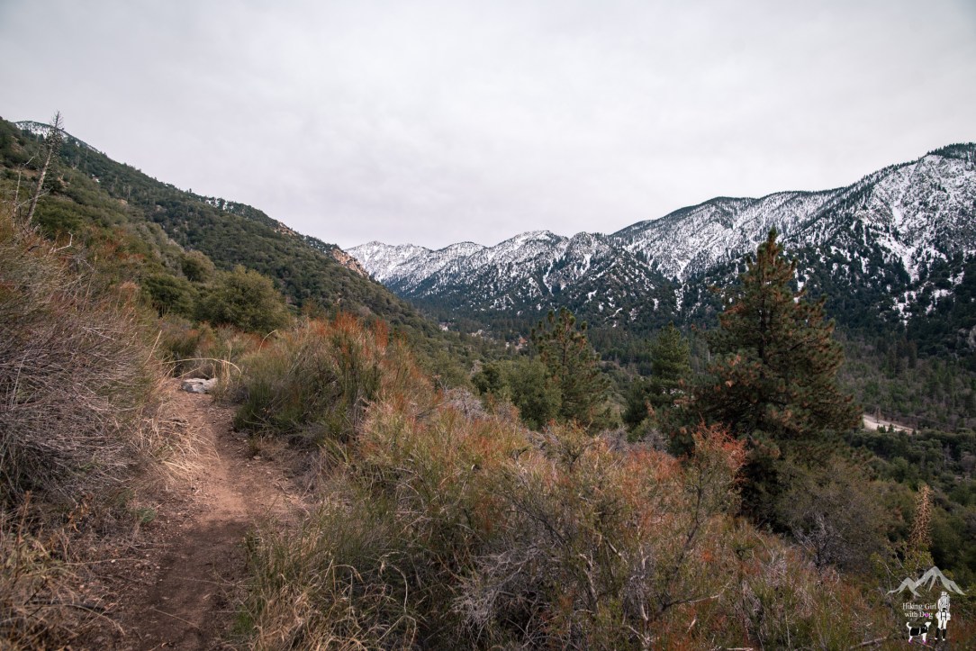 momyer_creek_trail-42