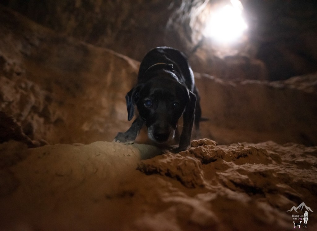 Mojave Desert Lava Tube