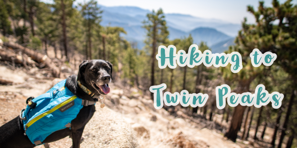 Twin Peaks Hike