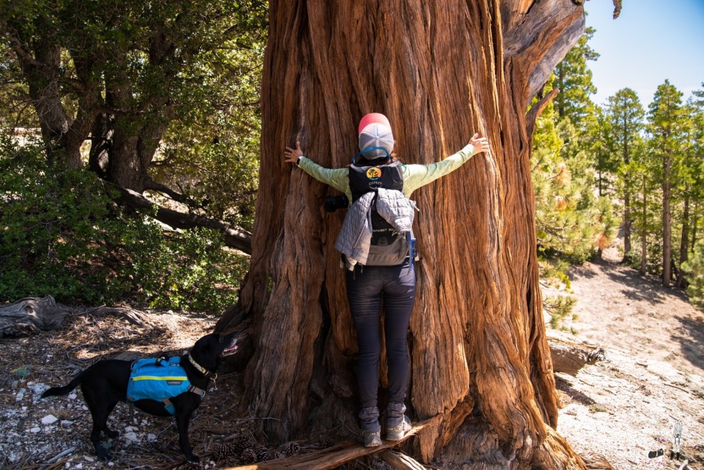 Hiking Girl With Dog