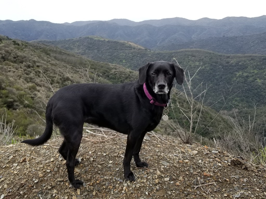Westridge Canyonback Park