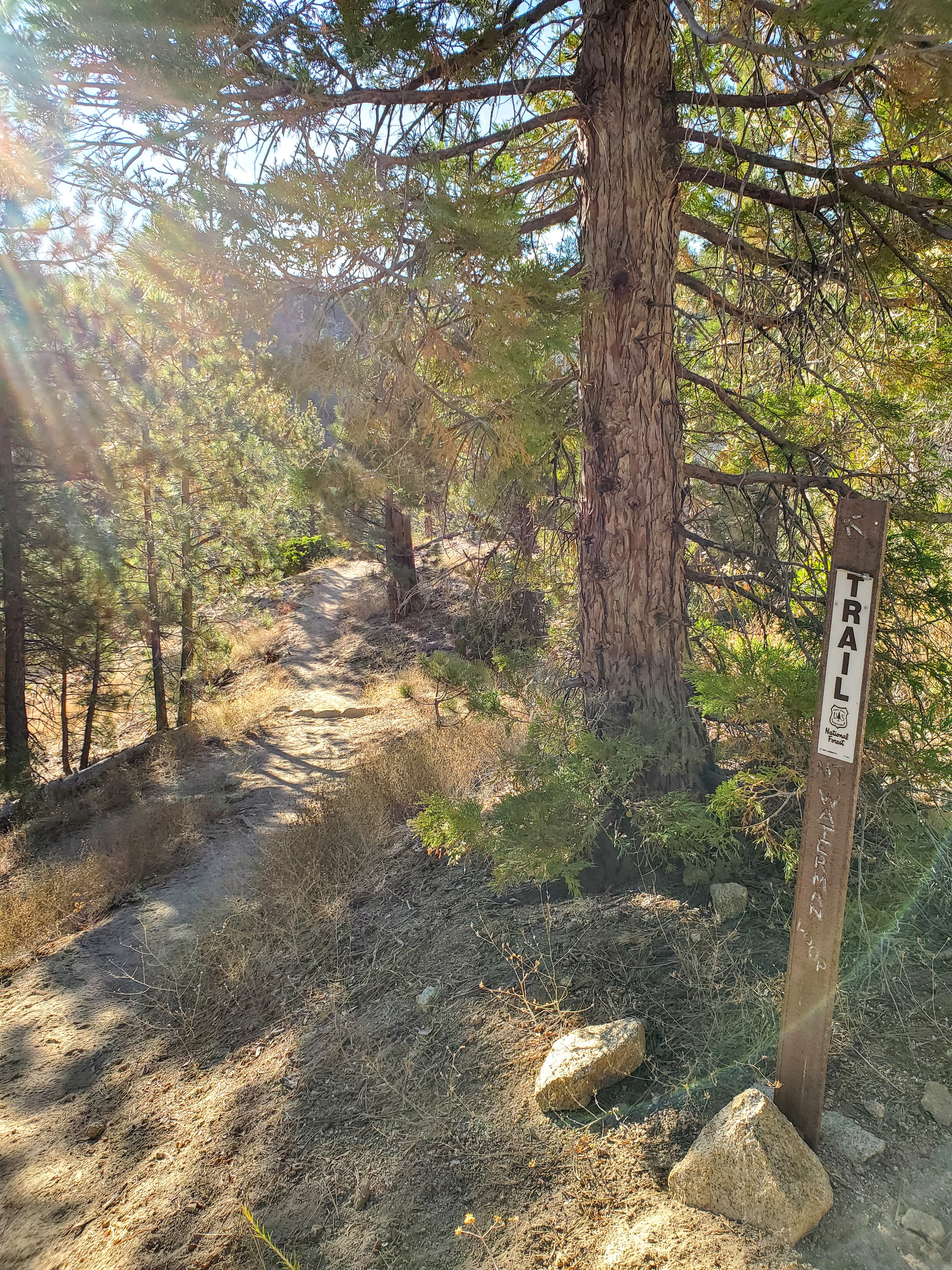 Mt Waterman Angeles National Forest