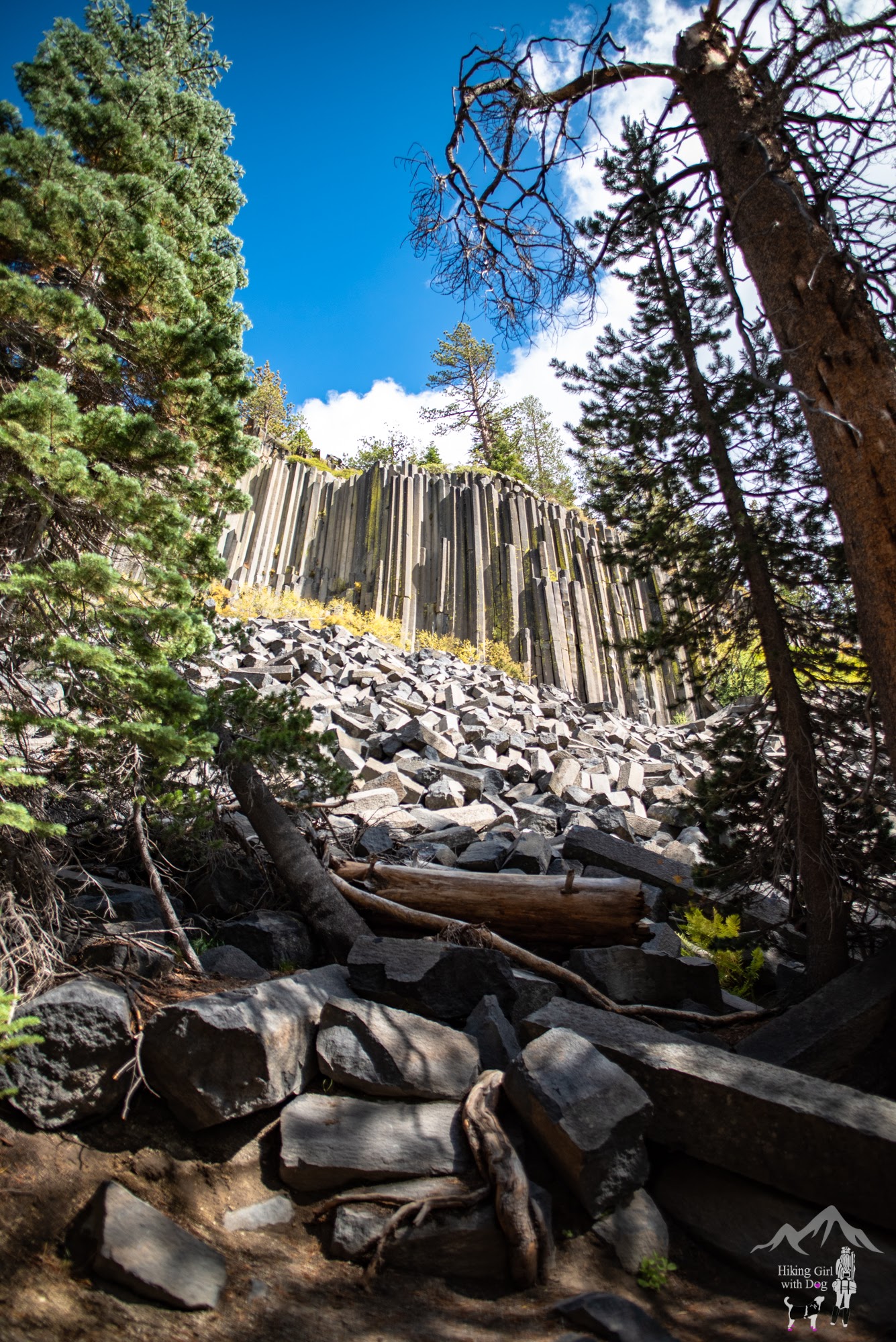 devils_postpile-14.jpg