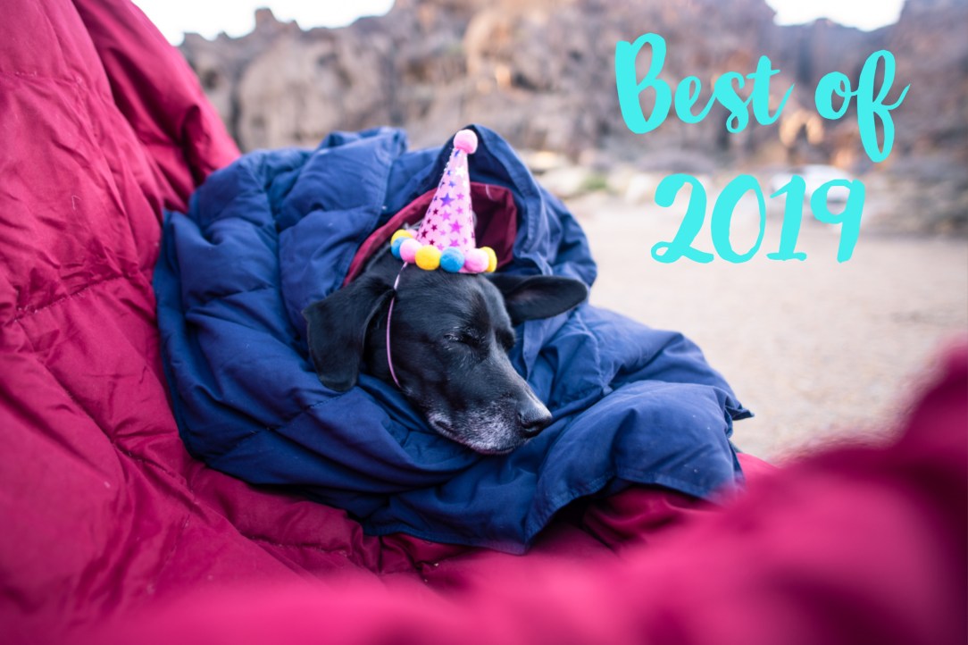 Hiking Girl with Dog