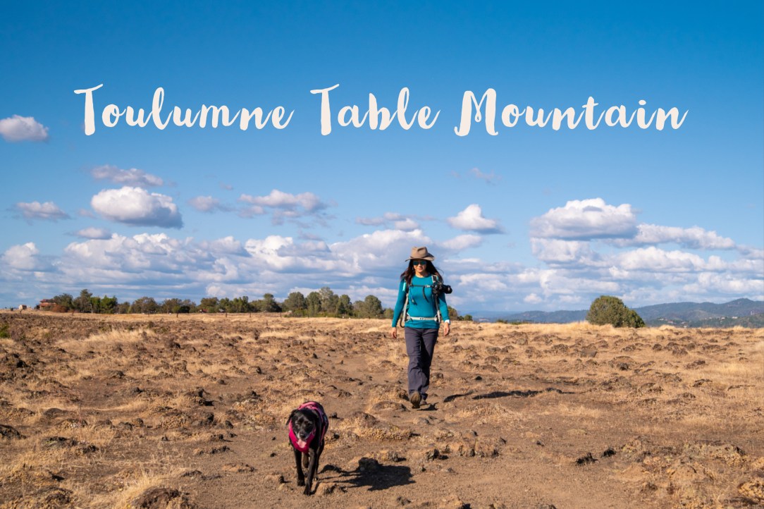 Toulumne Table Mountain