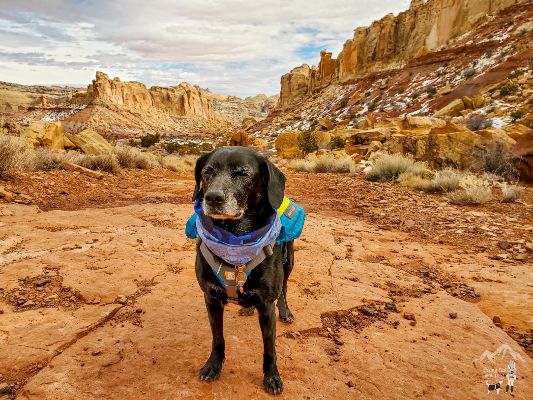 Little Wild Horse Canyon and Bell Canyon Utah