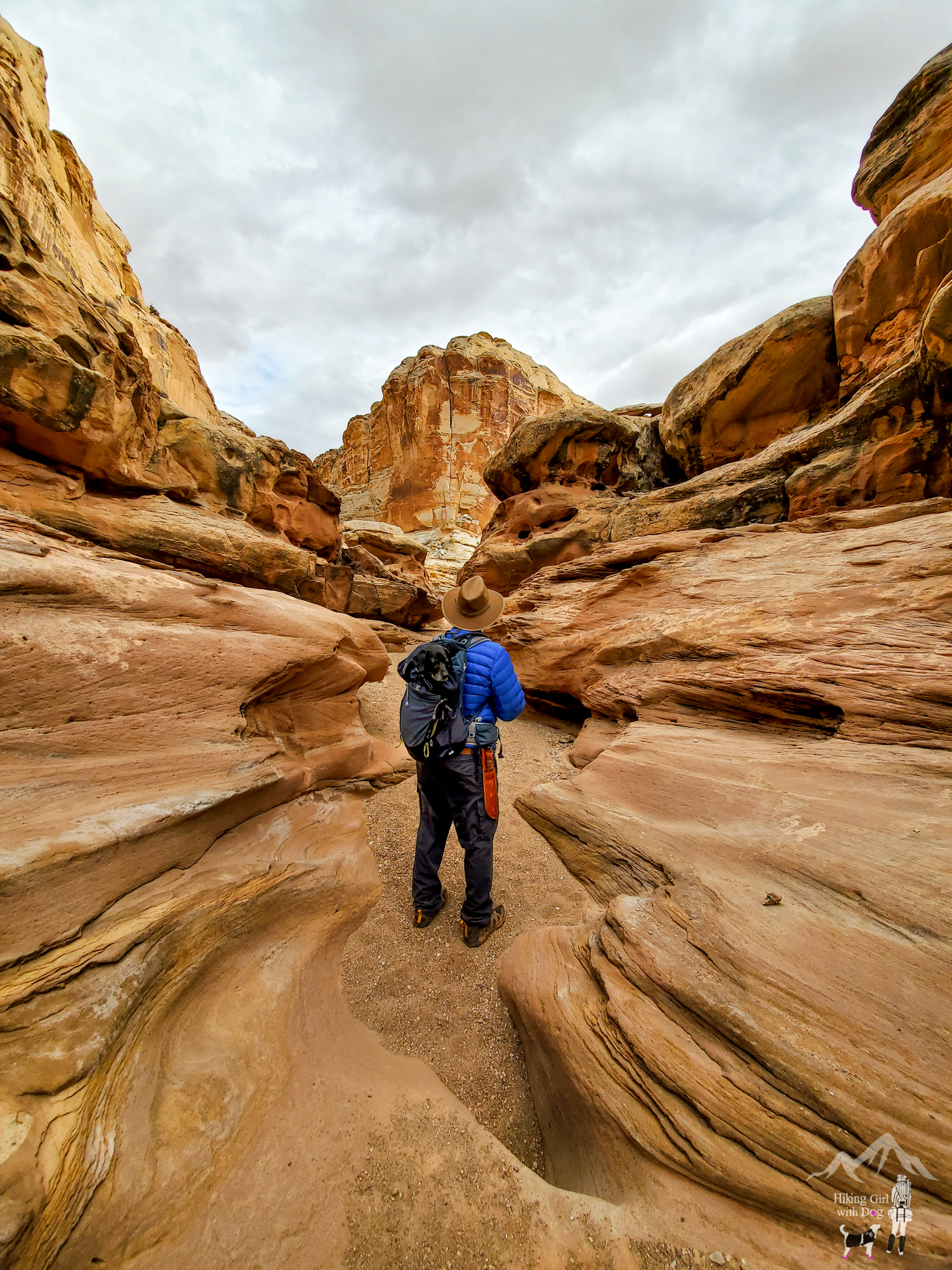 little_wild_horse-60