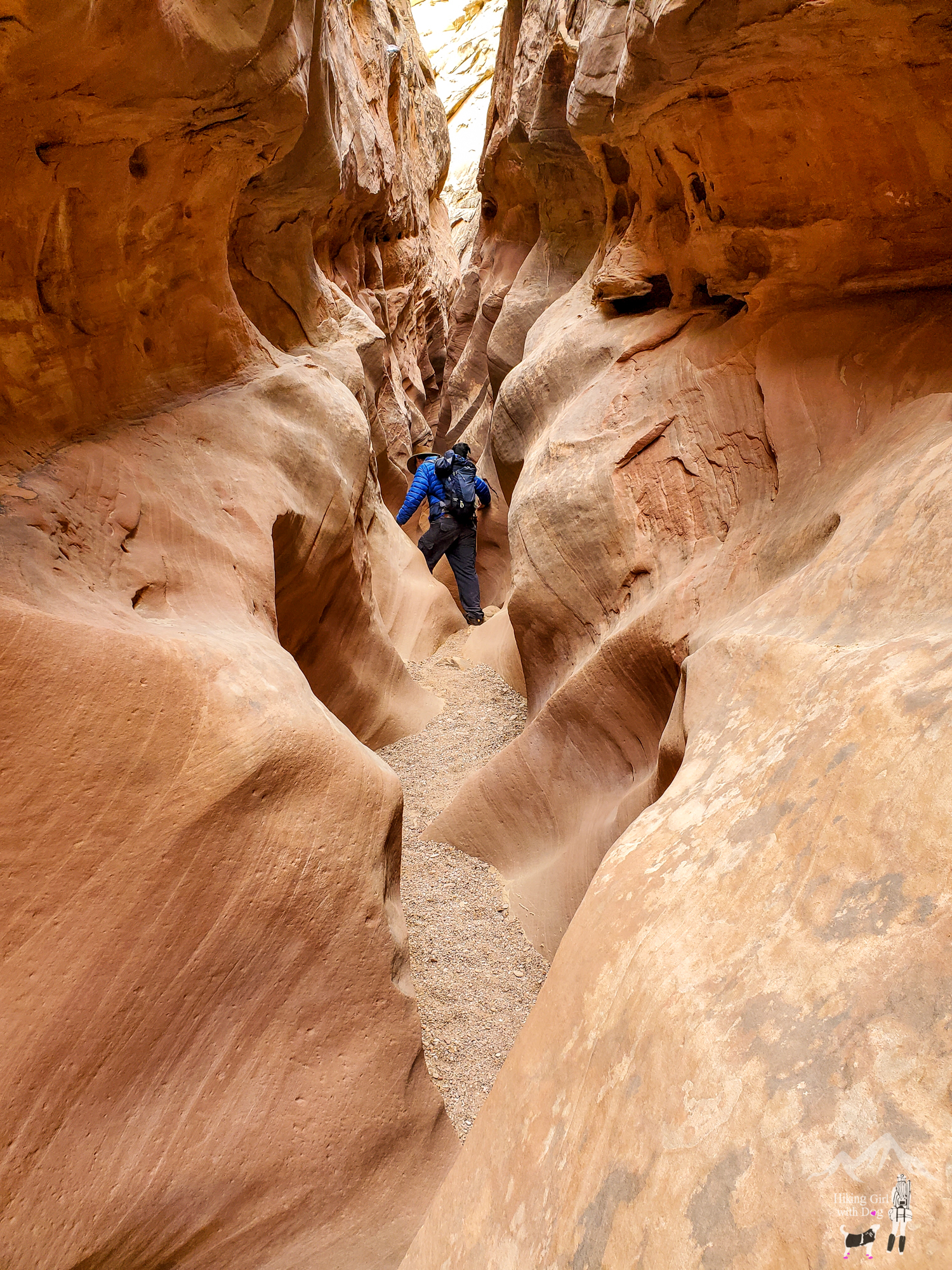 little_wild_horse-70