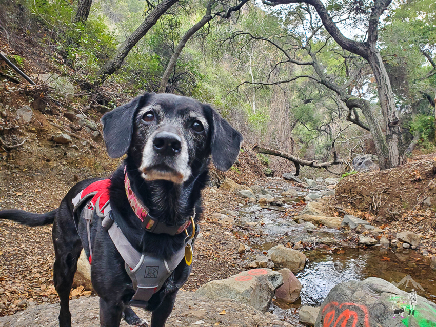 Exploring Hogador Canyon